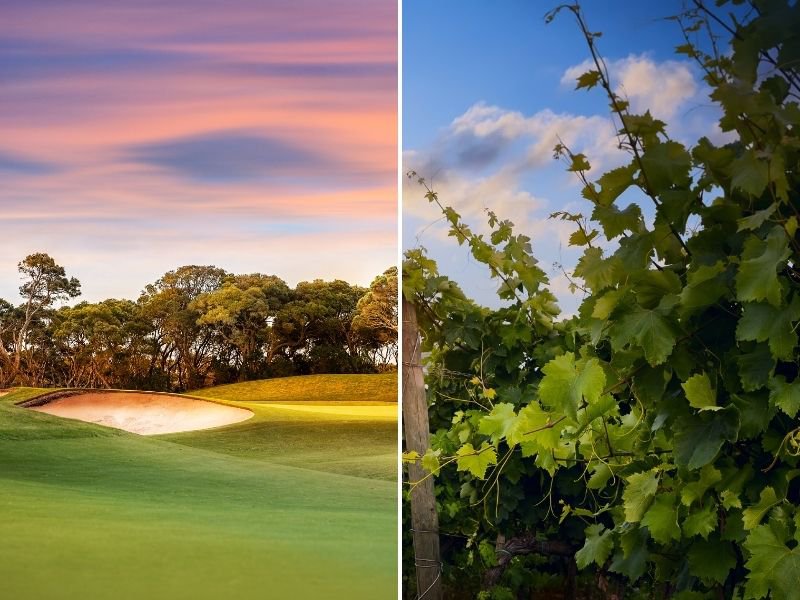 Things To Do https://terraverderesort.icnd-cdn.com/images/thingstodo/Terra Verde EVENTS (2).jpg